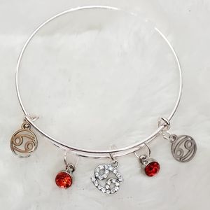 Cancer Charm Bracelet